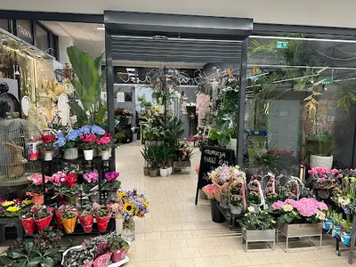 Kwiaciarnia Euforia Kokoszyce